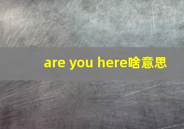 are you here啥意思